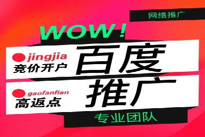 百度竞价广告与社交媒体广告的联合投放案例